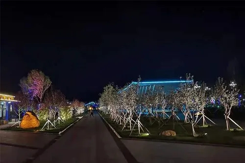 如何策划遵义灯光亮化工程的招标文件